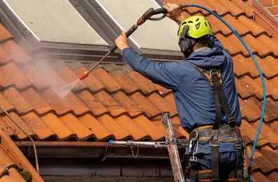 Démoussage et hydrofuge de toiture à Vielverge